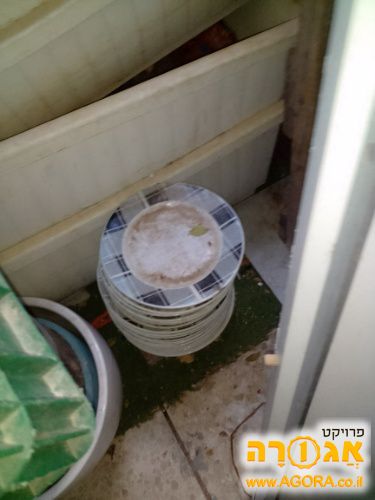 צלחות חרסינה