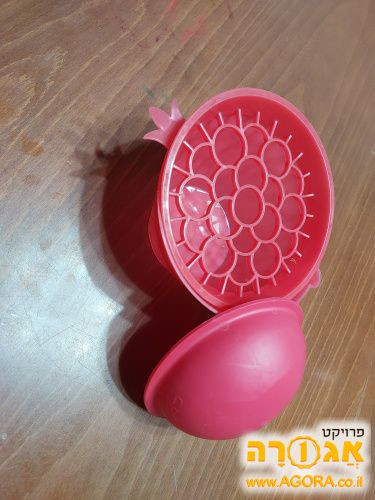 פורט רימונים