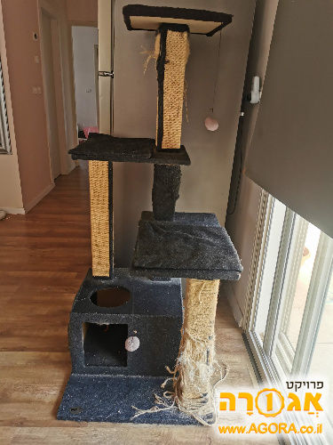 מתקן גירוד לחתול