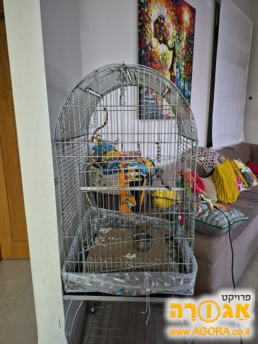 כלוב גדול לתוכים