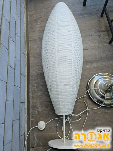 מנורה