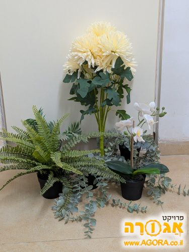 צמחים סינטטיים מאיקיה