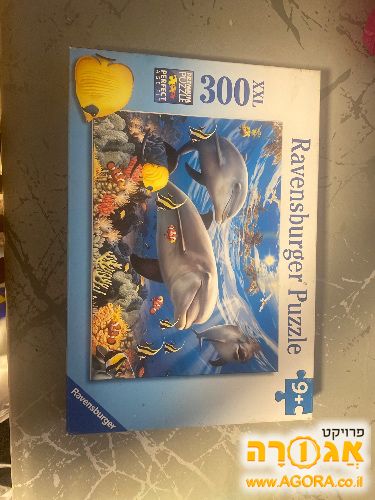 פאזל