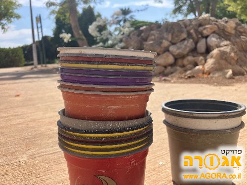 עציצי פלסטיק לגינה