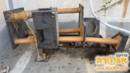 מגדל חתולים במצב רע