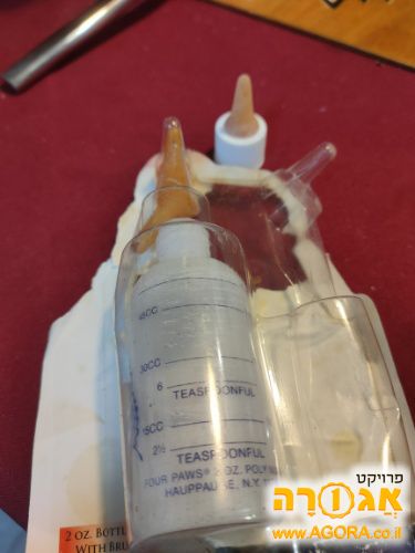 בקבוק להאכלתכורי חתולים