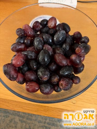 קופסת ענבים