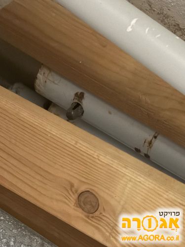סוכה
