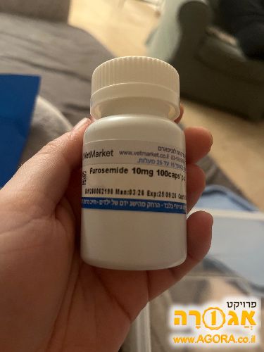 כדורים לחיות