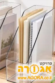 ארגונית