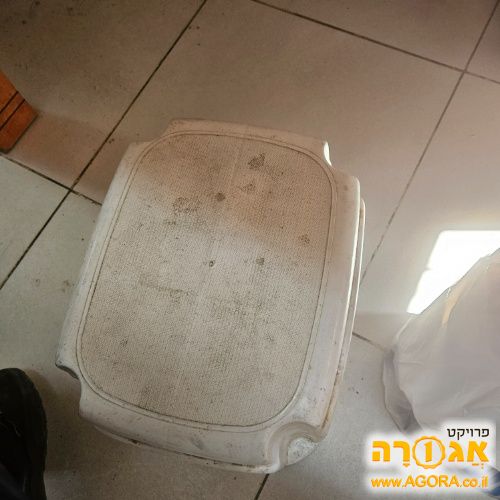 שרפרף