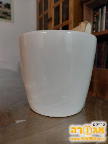 ואזה קטנה לצמח