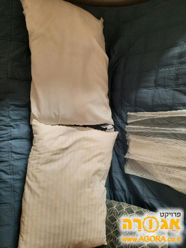 שתי כריות