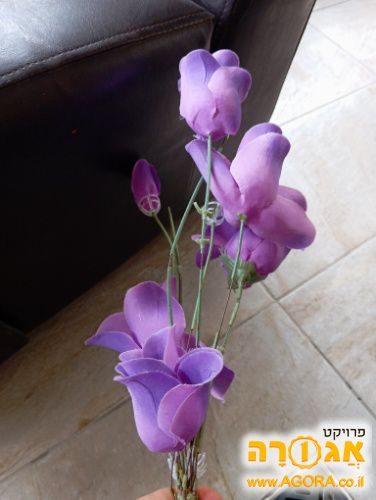 פרחים