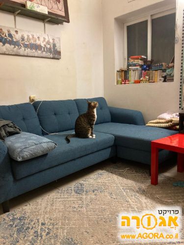 ספה