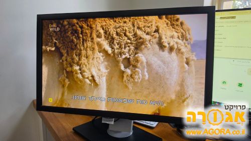 DELL מסך מחשב 24 אינץ