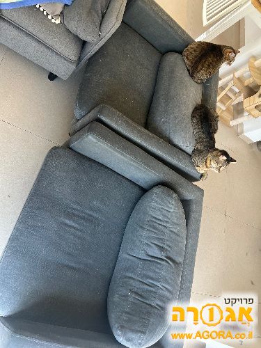 כורסאות