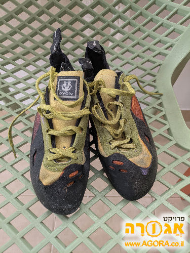 נעלי טיפוס