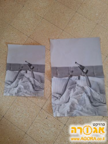 פוסטרים