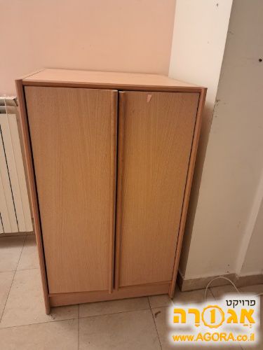 ארונית