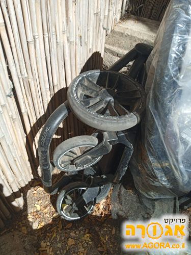 שלדת ספורט לין