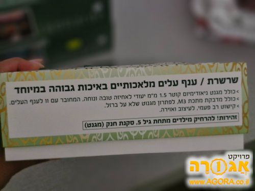 קישוט עלים