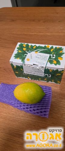 אתרוג שבירכתי עליו בחג
