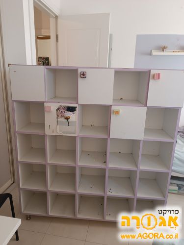 כוננית
