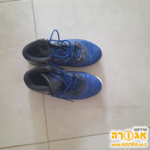 נעליי כדורסל