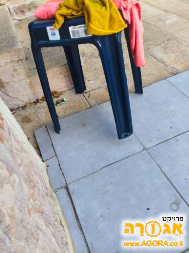 שרפרף כחול