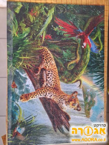 פאזלים