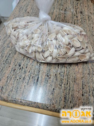 קליפות של פיסטוק