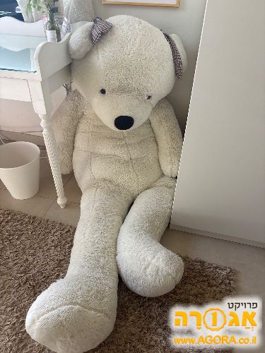 דובי ענק