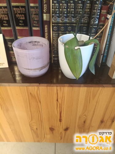 כלים לעציצים