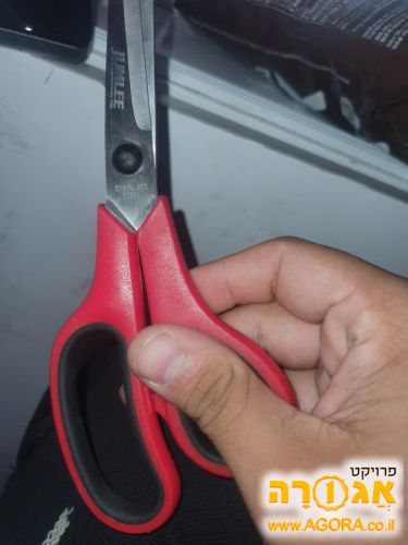מספרים