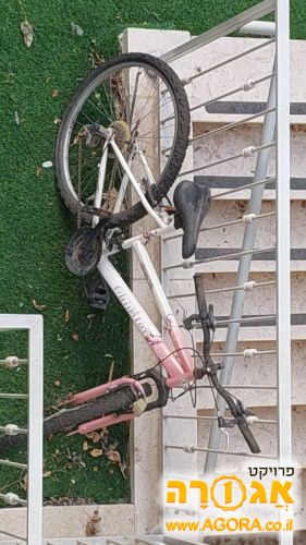 אופניים בנות