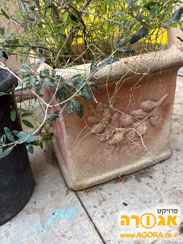 ידנית מרובעת