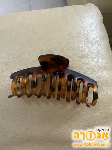 קליפס