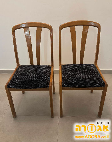 6 כיסאות