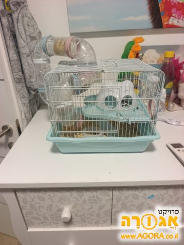 אוגר