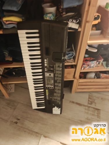 אורגנית