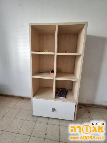 ארונית