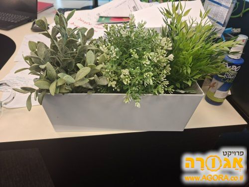 אדניות עם עציצים מפלסטיק