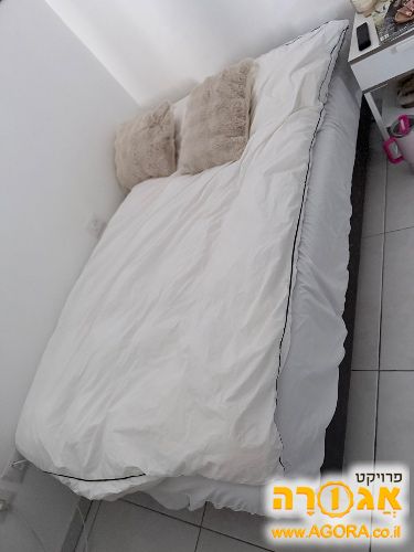 מיטה