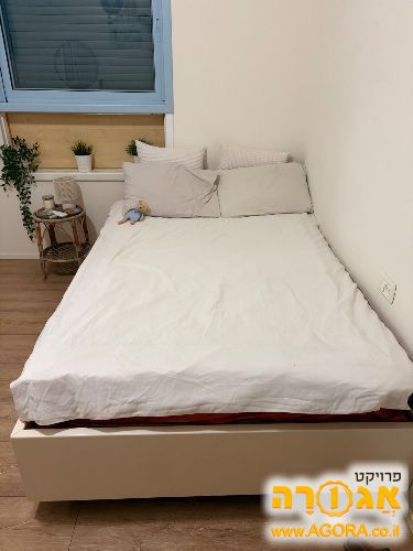 מיטה