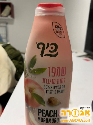 שמפו