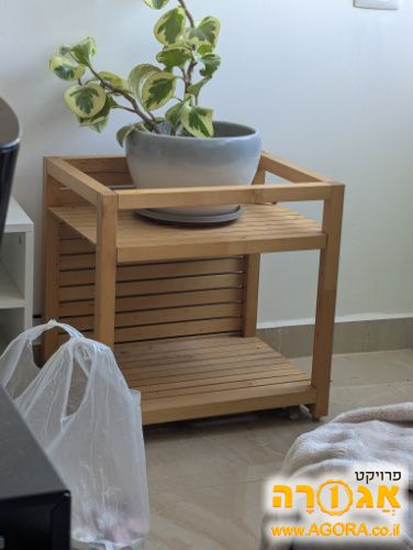 כוננית