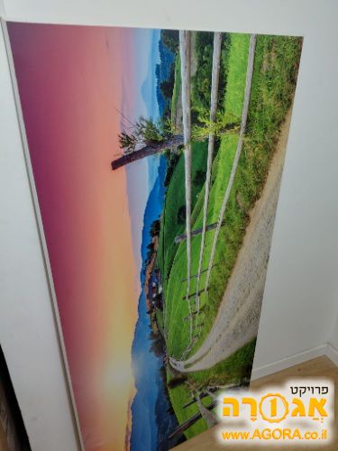 תמונה
