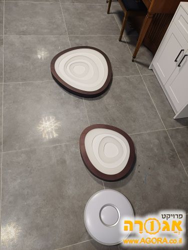 גוף תאורה