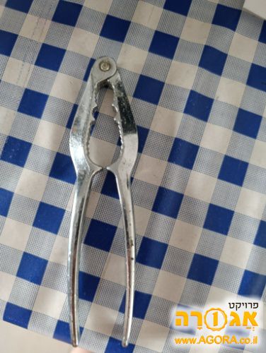 מפצח אגוזים